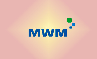 ✓ MWM 01151504 Запчасть Deutz 